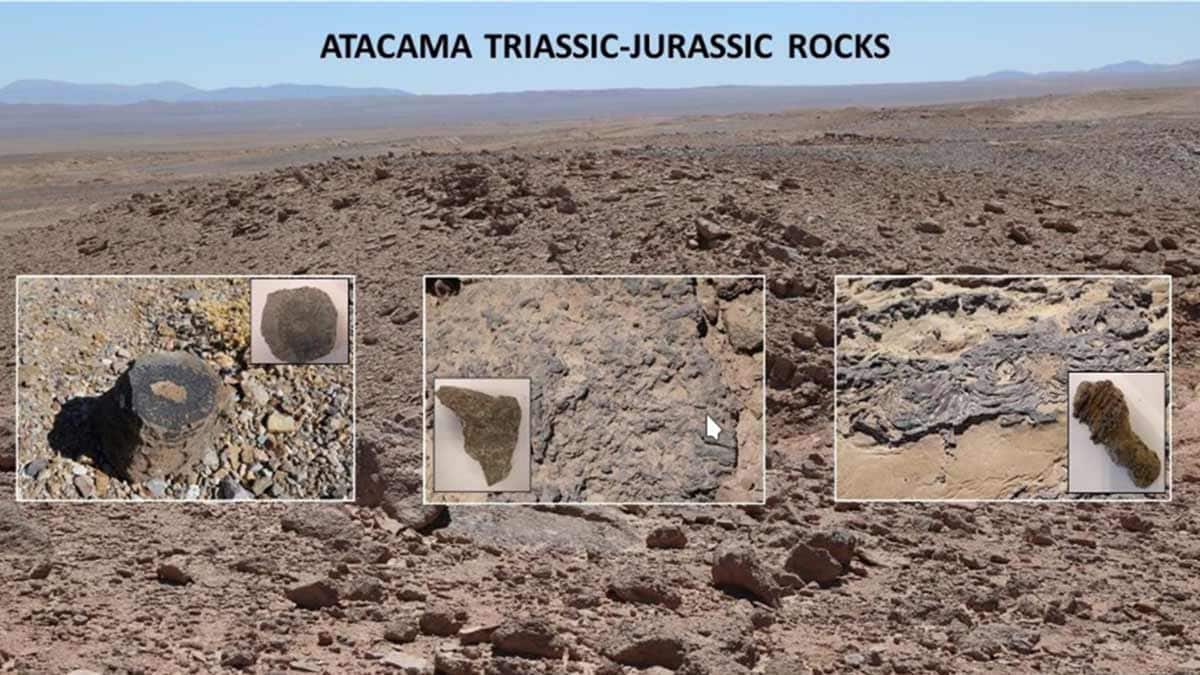 Grâce à une technologie développée dans le désert d'Atacama, les scientifiques tentent d'étudier la vie sur Mars.