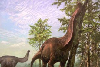 Selon les archives fossiles, les dinosaures sauropodes préféraient vivre dans des climats plus chauds et plus tropicaux.