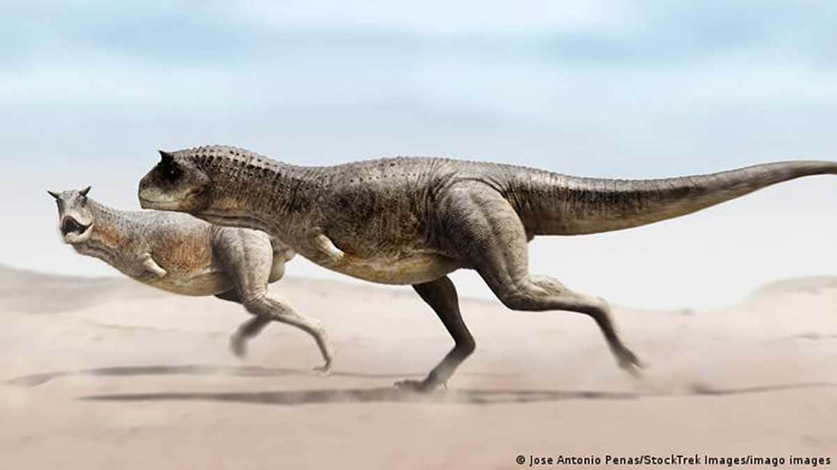 Le "Guemesia ochoai" pourrait avoir ressemblé à des parents tels que le "Carnotaurus".