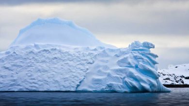 La glace de mer de l'Antarctique a atteint son point le plus bas jamais enregistré.