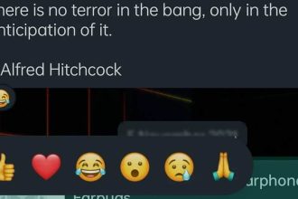 Réactions avec six emojis dans les messages WhatsApp