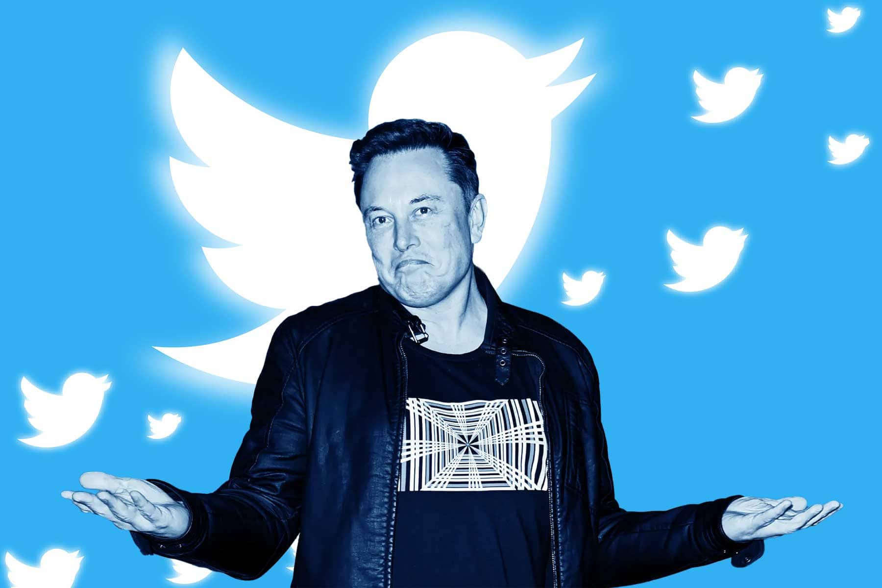 Elon Musk demande à la SEC d'enquêter sur les utilisateurs de Twitter