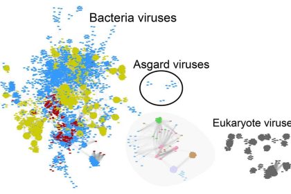 Comparaison de tous les génomes de virus connus.