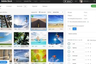 Plateforme Adobe Stock (Adobe)