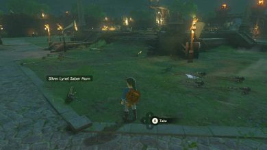 Duplication d'objets dans Zelda : Tears of the Kingdom en toute simplicité