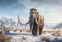 Les orphelins d'éléphants du Botswana aident à développer une nouvelle technologie de surveillance