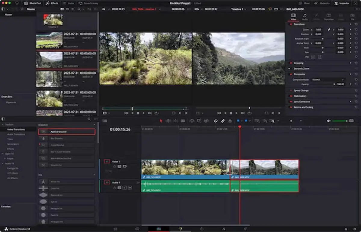 Davinci Resolve