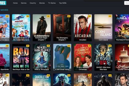 FMovies, le cauchemar hollywoodien qui dépasse Disney+