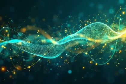Bug de l'algorithme Google 2024 : conséquences pour le SEO