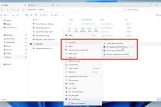 Menu contextuel de Windows 11 affichant les premières actions IA, dont flou d’arrière-plan et recherche visuelle Bing.