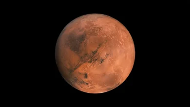 Vue détaillée de la planète Mars montrant sa surface rouge caractéristique, soulignée par des formations volcaniques et des vallées profondes.